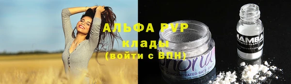 таблы Бородино