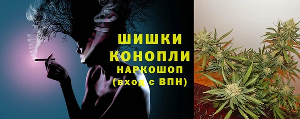 таблы Бородино