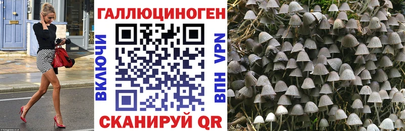Псилоцибиновые грибы Cubensis  Оренбург 